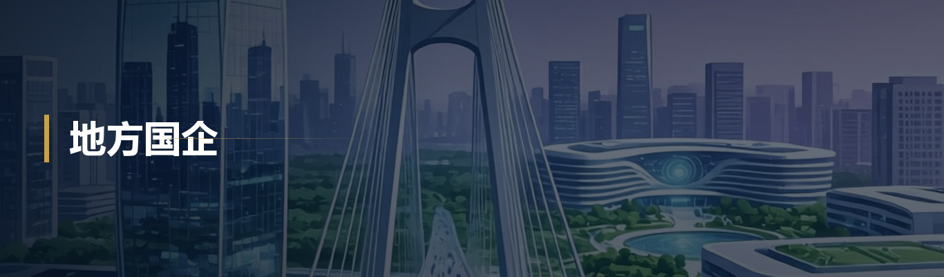地方国企